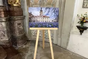 Výstava