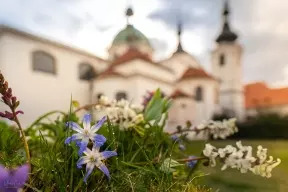 Pohled na severní část baziliky Narození Panny Marie.