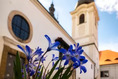 Pohled na severní vstup do kostela.